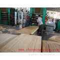 High Quality HDF Natural Ash Veneer Door Skin